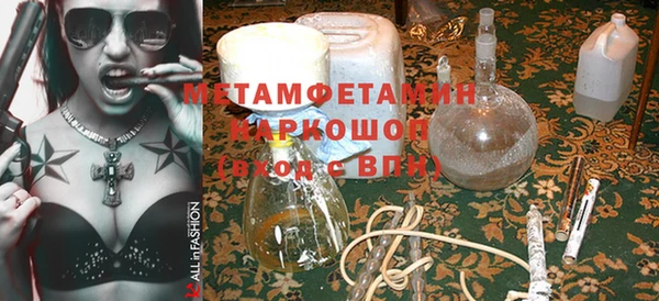 прущие грибы Карпинск