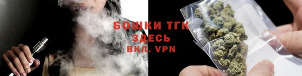 прущие грибы Карпинск