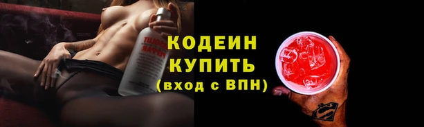 прущие грибы Карпинск