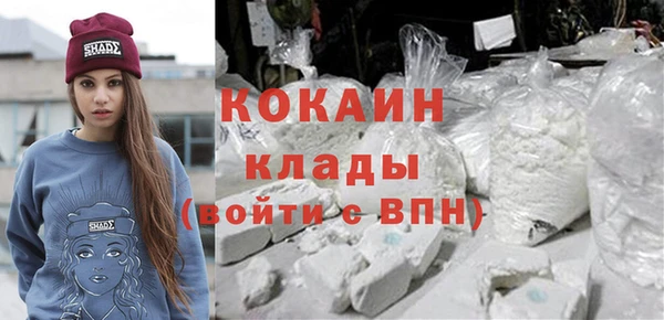прущие грибы Карпинск