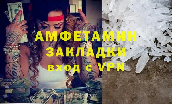 прущие грибы Карпинск