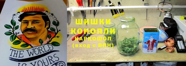 прущие грибы Карпинск