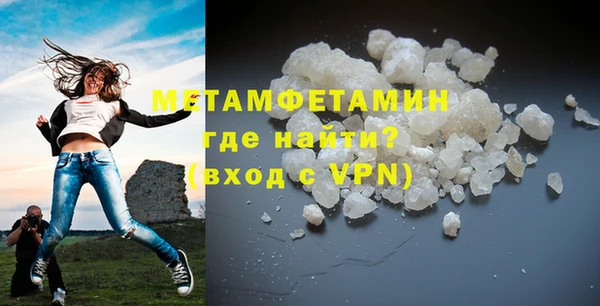 прущие грибы Карпинск