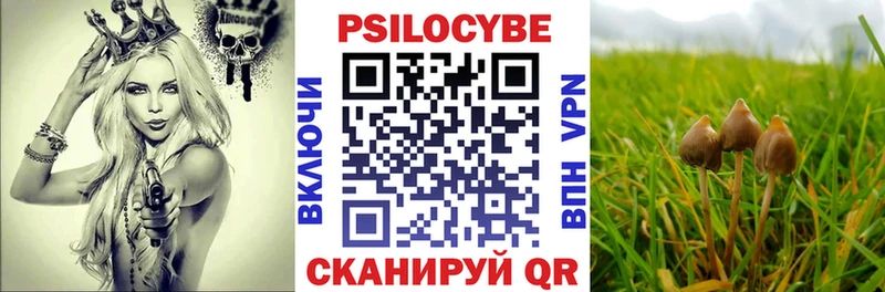 Псилоцибиновые грибы Cubensis  Купить где  Спас-Клепики 