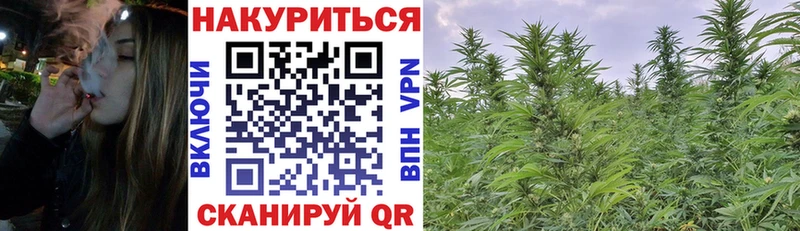 Купить  Спас-Клепики  Марихуана Amnesia 